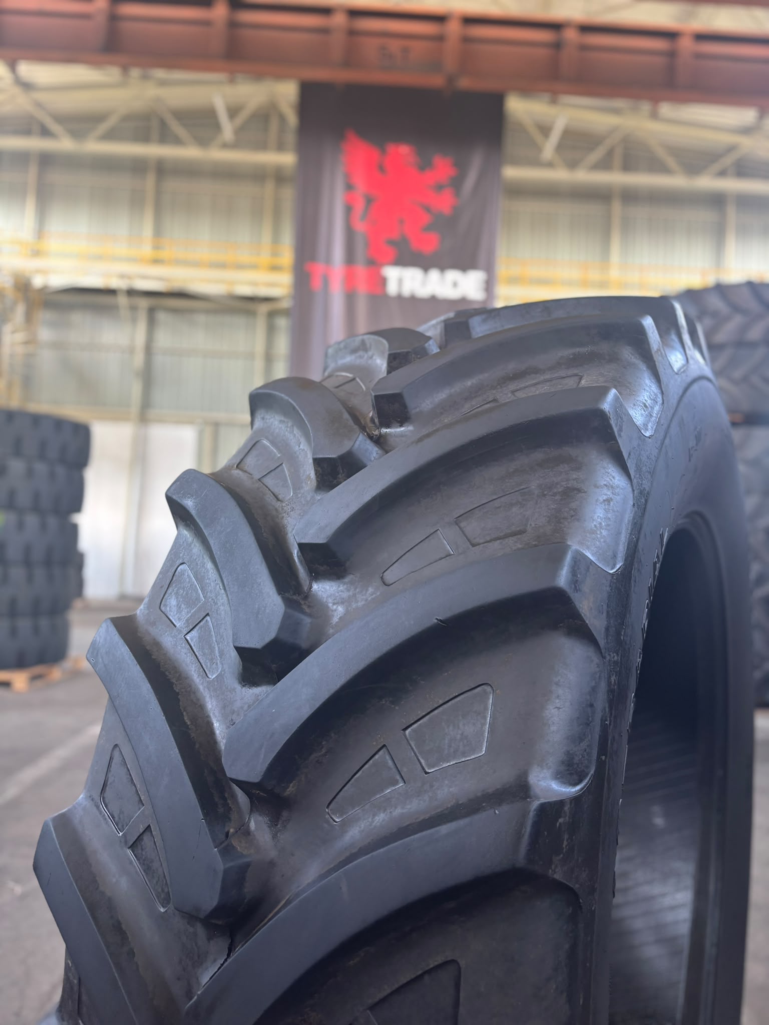 650/65R42 Tianli AG-RADIAL 65 R1-W 165D/168A8 TL DEMO 1 650/65R42 Tianli AG-RADIAL 65 R1-W 165D/168A8 TL DEMO 1