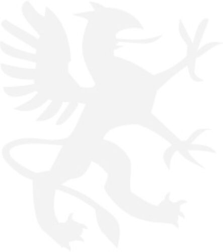 ? 7.50-20 ST701 SREGIO 130/126G 14PR TT SHIKARI KPL.